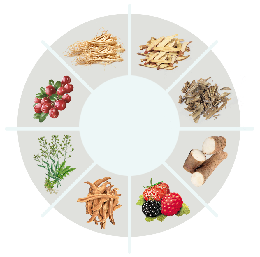 CogniHoney ingredient overview